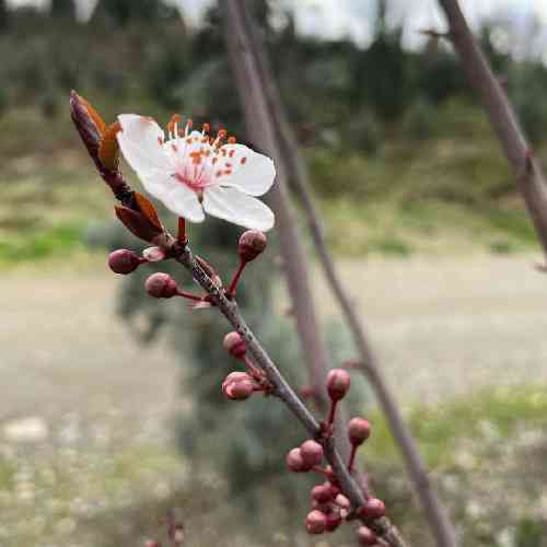 هیچکس سخته مسلمون بودن